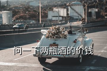 問一下兩瓶酒的價錢