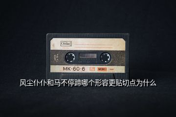 風塵仆仆和馬不停蹄哪個形容更貼切點為什么