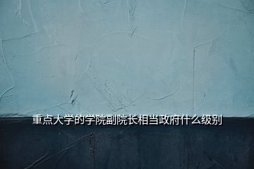 重點(diǎn)大學(xué)的學(xué)院副院長相當(dāng)政府什么級(jí)別