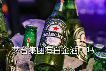 茅臺集團有白金酒廠嗎