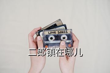 二郎鎮在哪兒