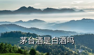 茅臺酒是白酒嗎