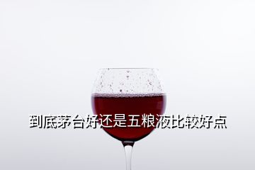 到底茅臺好還是五糧液比較好點(diǎn)