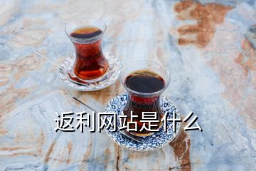 返利網站是什么