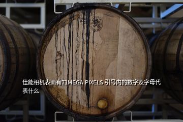 佳能相機表面有71MEGA PIXELS 引號內的數字及字母代表什么