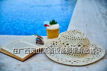 在廣西靈山蒸酒設備那里有出售
