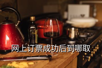 網上訂票成功后到哪取