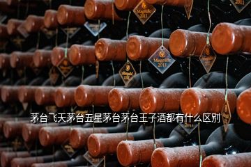 茅臺飛天茅臺五星茅臺茅臺王子酒都有什么區別
