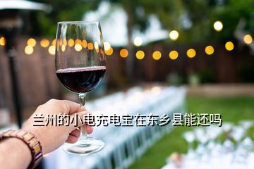 蘭州的小電充電寶在東鄉縣能還嗎