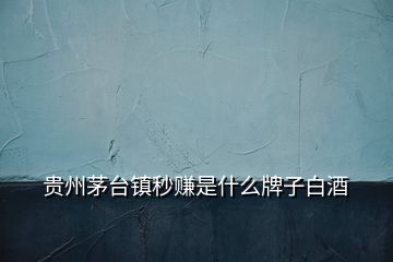 貴州茅臺(tái)鎮(zhèn)秒賺是什么牌子白酒