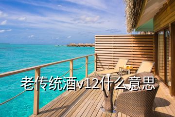 老傳統酒v12什么意思