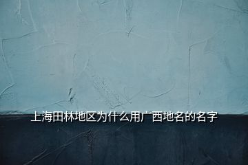 上海田林地區為什么用廣西地名的名字