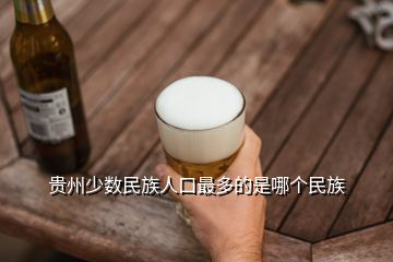 貴州少數民族人口最多的是哪個民族