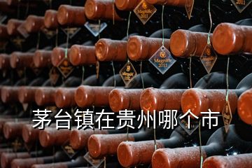 茅臺鎮在貴州哪個市