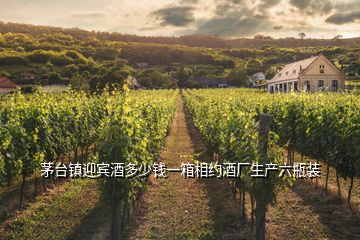 茅臺鎮迎賓酒多少錢一箱相約酒廠生產六瓶裝