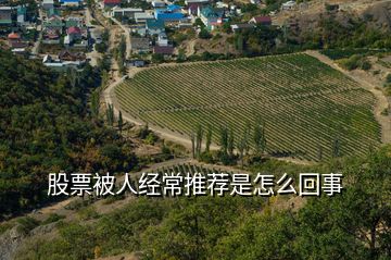 股票被人經常推薦是怎么回事