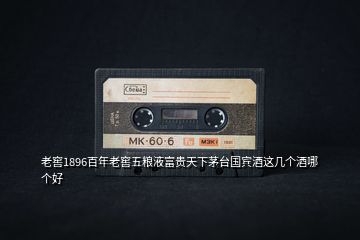 老窖1896百年老窖五糧液富貴天下茅臺國賓酒這幾個酒哪個好