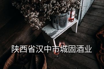 陜西省漢中市城固酒業