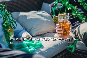 我在茅臺鎮酒廠附近聞到酒精發酵伴隨著一股濃濃的尸臭味