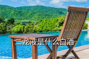 二龍液是什么白酒