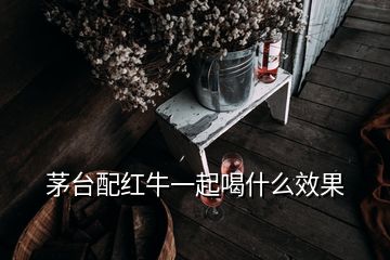茅臺(tái)配紅牛一起喝什么效果