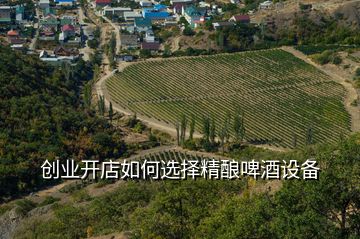 創業開店如何選擇精釀啤酒設備