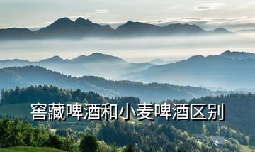 窖藏啤酒和小麥啤酒區別