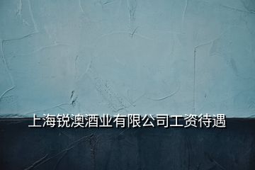 上海銳澳酒業有限公司工資待遇