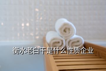 衡水老白干是什么性質企業