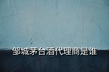 鄒城茅臺酒代理商是誰