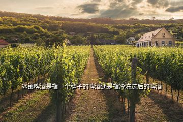 冰鎮(zhèn)啤酒是指一個(gè)牌子的啤酒還是指冷凍過(guò)后的啤酒
