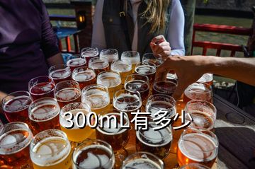 300mL有多少