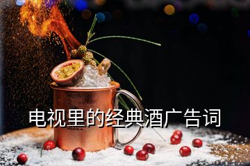 電視里的經典酒廣告詞
