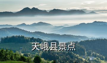 天峨縣景點
