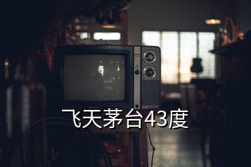 飛天茅臺(tái)43度