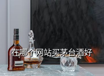 在哪個(gè)網(wǎng)站買(mǎi)茅臺(tái)酒好