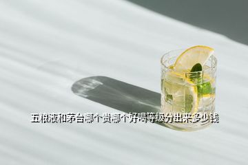 五糧液和茅臺(tái)哪個(gè)貴哪個(gè)好喝等級(jí)分出來(lái)多少錢(qián)