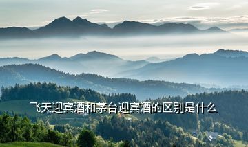 飛天迎賓酒和茅臺迎賓酒的區別是什么