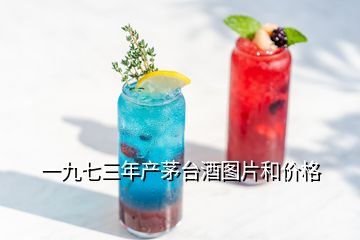 一九七三年產茅臺酒圖片和價格