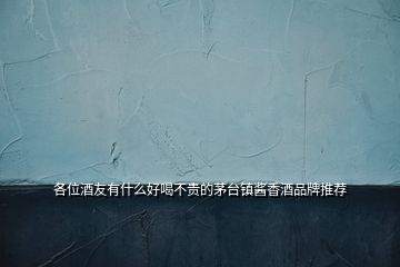 各位酒友有什么好喝不貴的茅臺鎮醬香酒品牌推薦