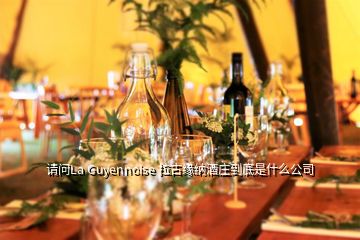 請問La Guyennoise 拉古緣納酒莊到底是什么公司