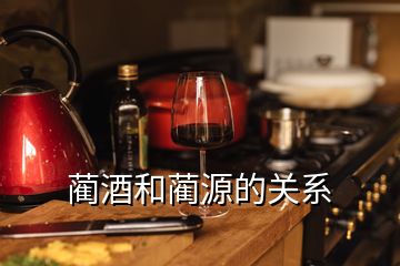 藺酒和藺源的關系
