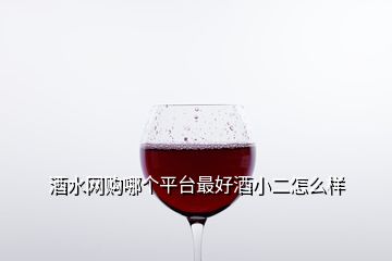 酒水網購哪個平臺最好酒小二怎么樣