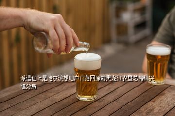 派遣證上是哈爾濱想吧戶口落回原籍黑龍江農墾總局紅興隆分局