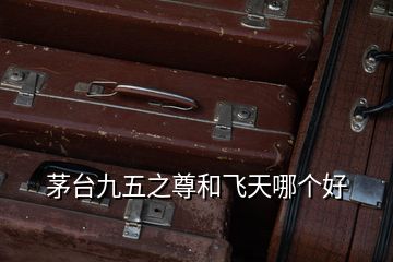 茅臺九五之尊和飛天哪個好