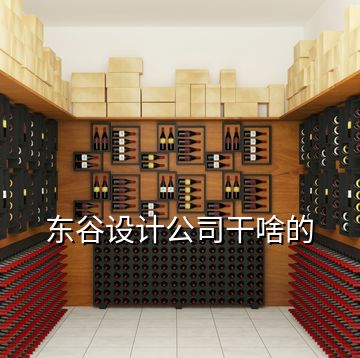 東谷設計公司干啥的