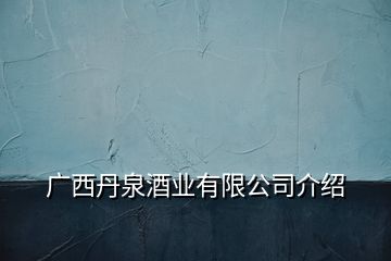 廣西丹泉酒業有限公司介紹