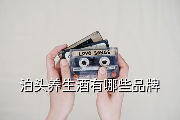 泊頭養生酒有哪些品牌