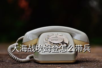 大海戰埃姆登怎么帶兵