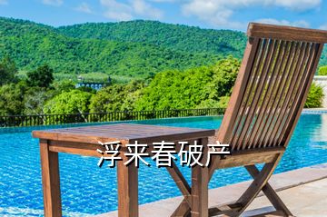 浮來(lái)春破產(chǎn)